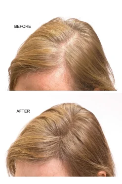 Soft Surroundings Joan Rivers Beauty Great Hair Day®> hair care